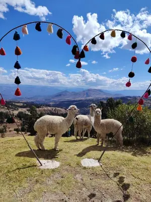 Gallery image of Altipacha Valley Q Lodge in Quinua