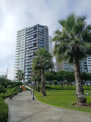 a park with palm trees and a tall building at Miraflores ocean view in Lima
