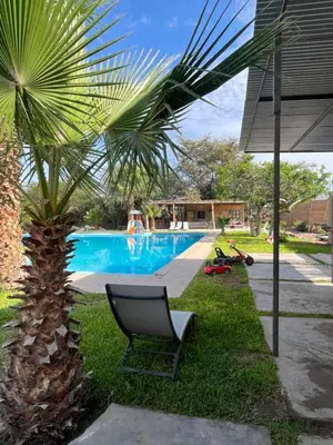a palm tree next to a swimming pool with a chair at Babylon Mansion in Nazca