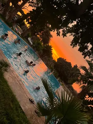 a group of people swimming in a pool at sunset at Babylon Mansion in Nazca