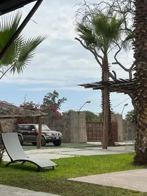 a chair sitting in the grass next to a palm tree at Babylon Mansion in Nazca