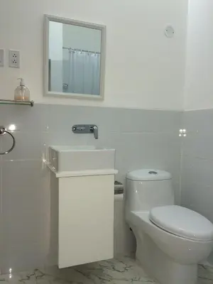 a bathroom with a toilet and a sink and a mirror at Larq'a Park Rooms in Lima