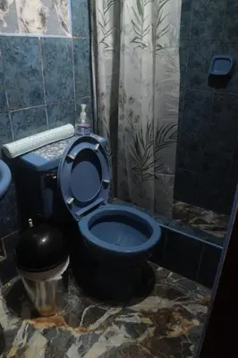 a bathroom with a blue toilet and a shower at Hermoso mini dpto en San Luis Lima in Lima