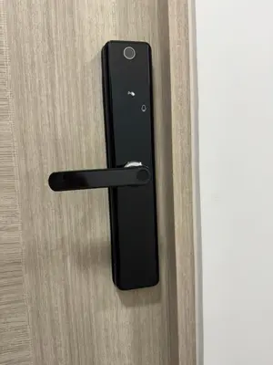 a black door handle on a wooden door at Lovely apartment in Lima