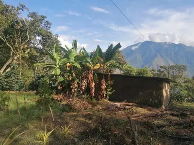 a house in a field with mountains in the background at Jungle Lodge Quillabamba All included