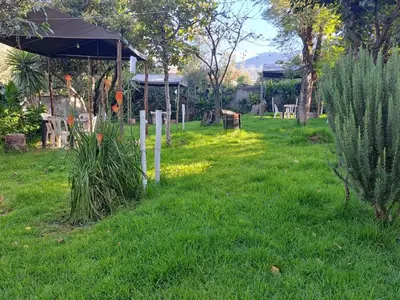 a garden with an umbrella in the grass at Casa Jardin in Ayacucho