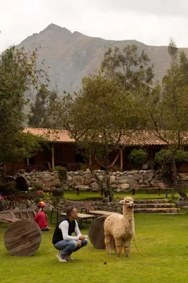 a woman is petting a sheep in a field at Andean Wings Valley in Urubamba