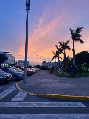 a street with cars parked in a parking lot with palm trees at Cuchos in Lima