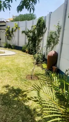 a garden with a small tree in front of a fence at CASA HOSPEDAJE Conquistadores Inn