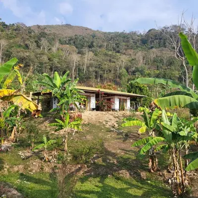 a house in the middle of a forest at Chunchu Wasi All included
