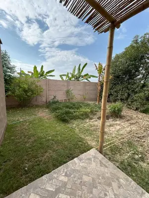 an outside view of a yard with a fence at Casa de Campo con Piscina, BBQ y Naturaleza Cañete in Imperial
