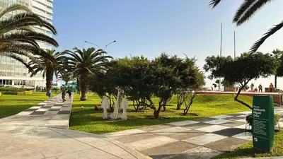 a park with palm trees and a sidewalk at Departamento en Miraflores - Av Pardo Jose in Lima