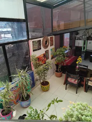 a room filled with lots of potted plants at SOLGARDENs in Cusco