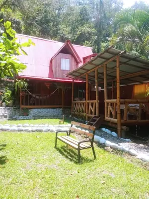 a bench sitting in the grass in front of a house at Montañita Lodge in La Merced