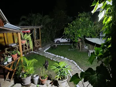 a garden with plants and a car in the background at Montañita Lodge in La Merced