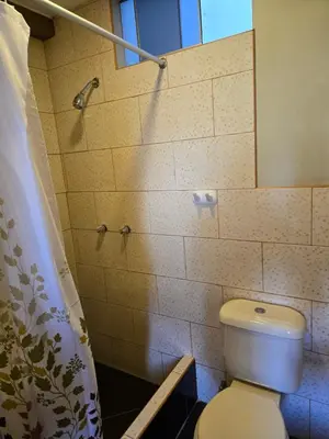a bathroom with a toilet and a shower curtain at Nasca Travel One Hostel in Nazca
