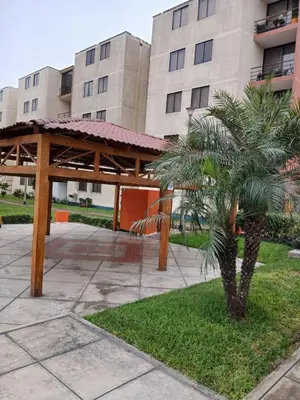 a wooden pavilion with a palm tree in front of a building at Habitación acogedora amoblada in Lima