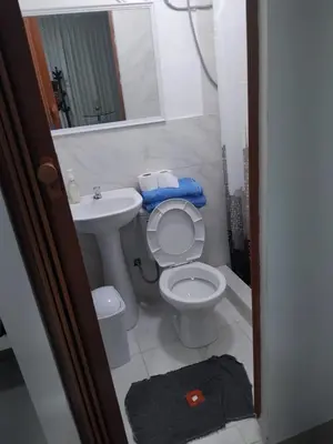 a bathroom with a toilet and a sink and a mirror at Monoambiente de estreno 35 m2 in Lima