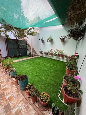 a patio with potted plants and a green lawn at Allyu Wasi-Chanka in Andahuaylas
