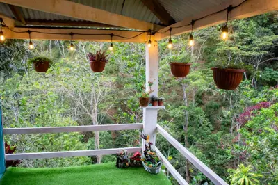 a porch with potted plants and lights at Hospedaje EL EDEN DE DON AYDEN in Satipo