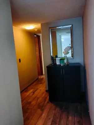 a hallway with a black dresser and a mirror at Adriana in Lima