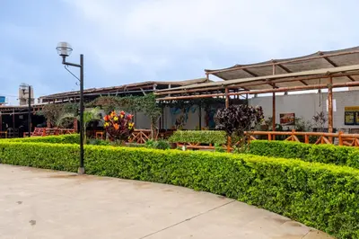 a green hedge in front of a building at Huaral House in Huaral