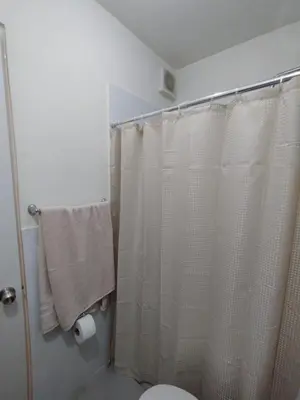 a bathroom with a shower curtain and a toilet at Panoramic view apartment in Lima