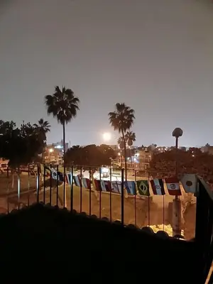 a fence with palm trees in the background at Freestyle Home in Lima
