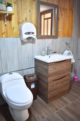 a bathroom with a toilet and a sink and a mirror at La posada del Minero - Oxapampa in Oxapampa
