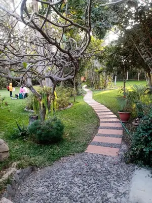 a path in a park with a tree at Rustic House, Pool, Grill, Game Area, Campfire Area in Cieneguilla