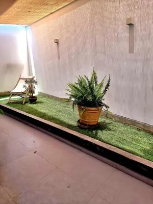 a potted plant sitting on a table in a room at Aqua y Sol Private Pool Parking Air Conditioning in Playa de Santa María