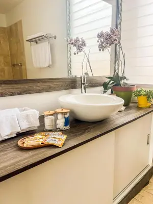 a bathroom counter with a sink and a mirror at LimaViva A in Lima