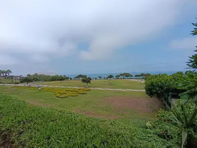 a grassy field with a tree in the middle at iStay 2D a 1 cuadra del Malecon in Lima
