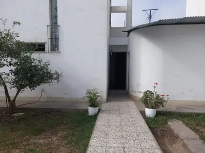a white building with two potted plants in front of it at KUSIHaus in Lima