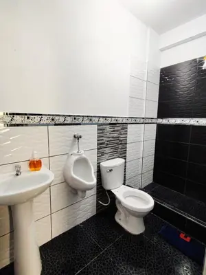 a bathroom with a toilet and a sink and a urinal at Casa de campo familiar cn parrilla, WiFi y piscina