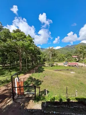 a view of a field with trees and a fence at BellaVista Hospedaje Casa completa, cocina y terraza in Oxapampa