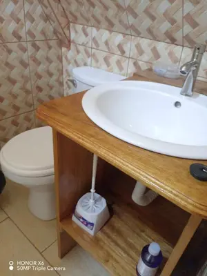 a bathroom with a sink and a toilet at Cabaña VALLE ENCANTADO