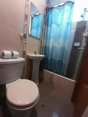 a bathroom with a toilet and a shower and a sink at Misky Illari Hospedaje in Ica