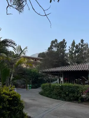 a courtyard with a building and a palm tree at Rosa Estela in Cieneguilla