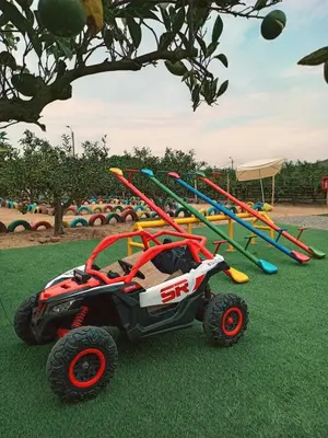 a toy rc car on the grass with a group of slides at Mandarhemia Club in Huaral