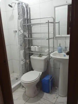 a bathroom with a toilet and a shower and a sink at Departamento amoblado y comodo in San Vicente de Cañete