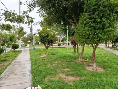 a sidewalk in a park with trees and grass at HK5 Bed And Breakfast Apartment in Lima