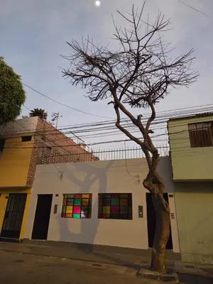 a tree in front of a building with rainbow windows at tiki house in Lima
