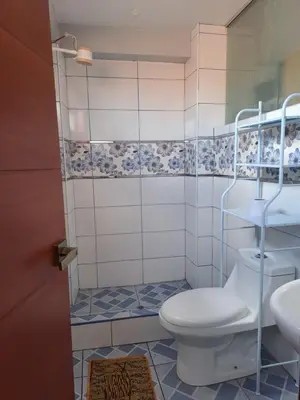 a bathroom with a toilet and a shower at Nina's House in Cusco
