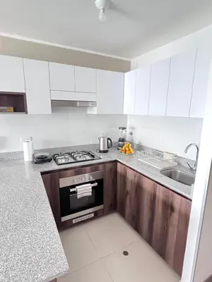 a white kitchen with a stove and a sink at La Foret in Lima