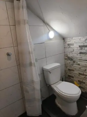 a bathroom with a toilet with a shower curtain at loft Inti in Cusco