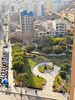 an aerial view of a park in a city at Departamento AltoVerde - Pueblo Libre in Lima