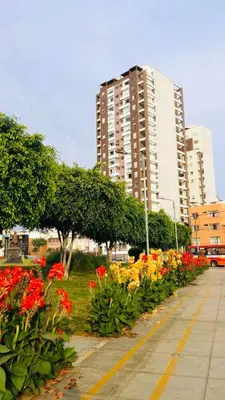 a row of flowers in a park with buildings at Departamento AltoVerde - Pueblo Libre in Lima