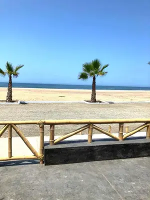 a wooden fence on the beach with two palm trees at Apartment with Beach Exit 204 in Punta Negra