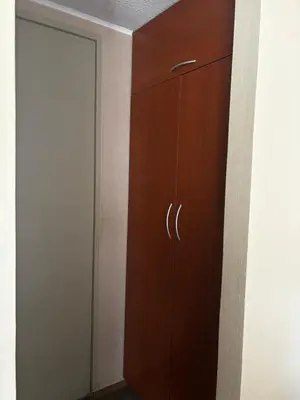 a closet with a wooden cabinet next to a door at Three-bedroom apartment in San Miguel in Lima